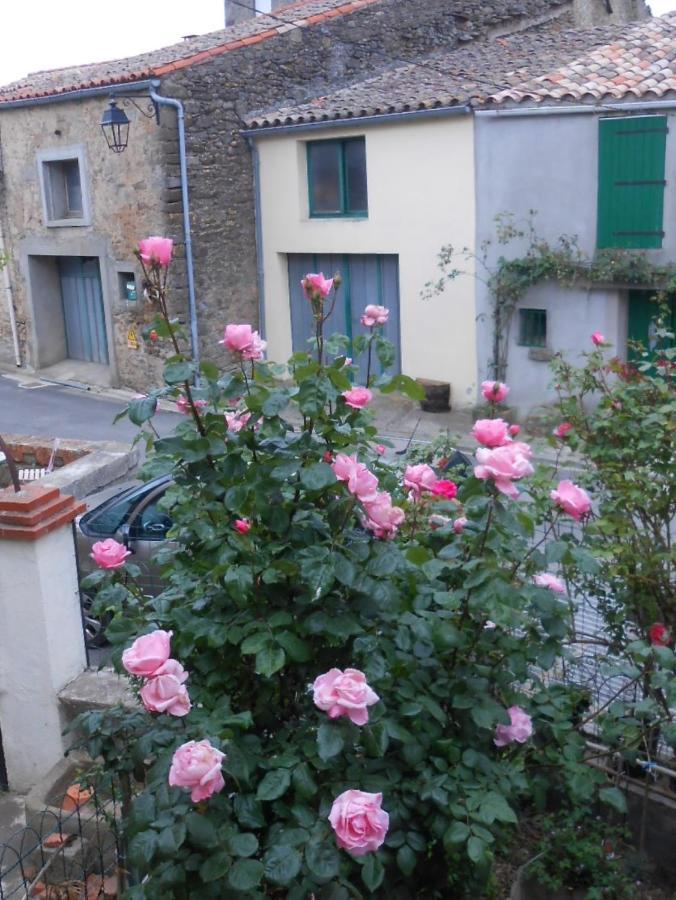 Maison Palmeral Coustaussa エクステリア 写真