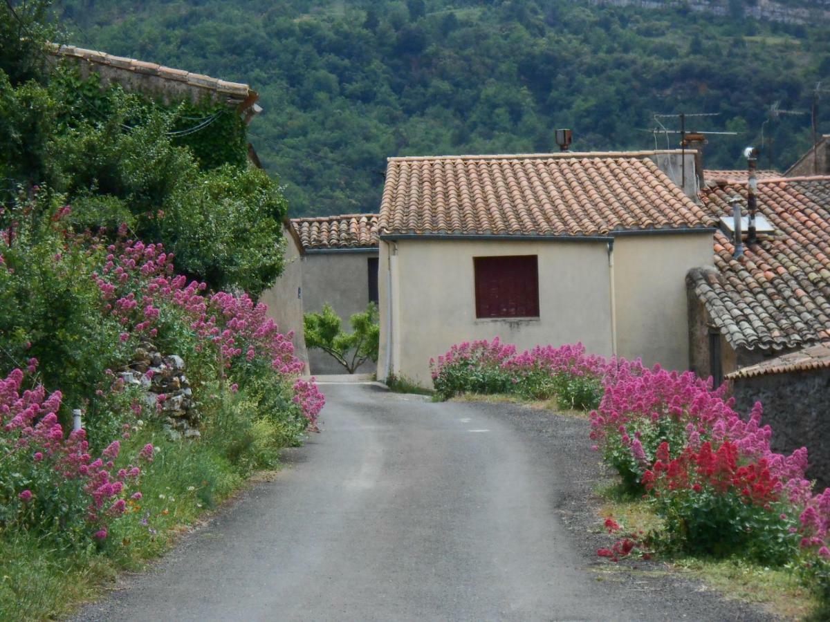 Maison Palmeral Coustaussa エクステリア 写真